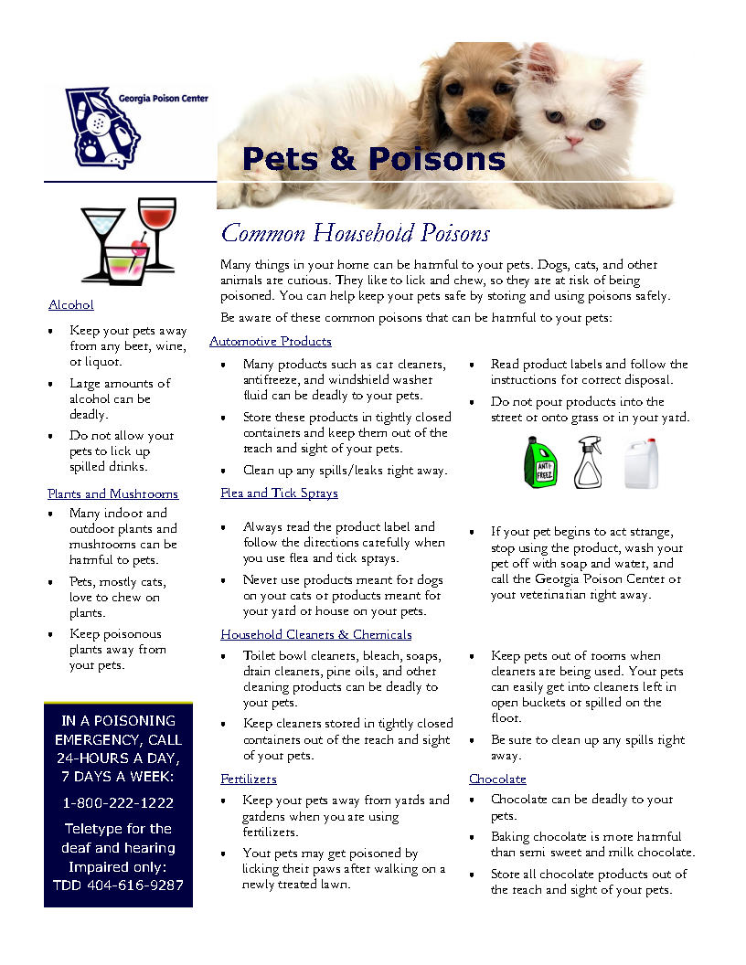 milk for dog poisoning