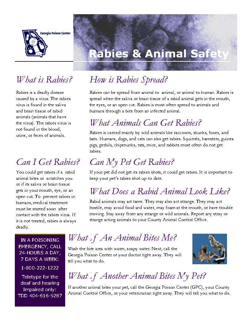 Rabies and Animal Safety | Georgia Poison Center